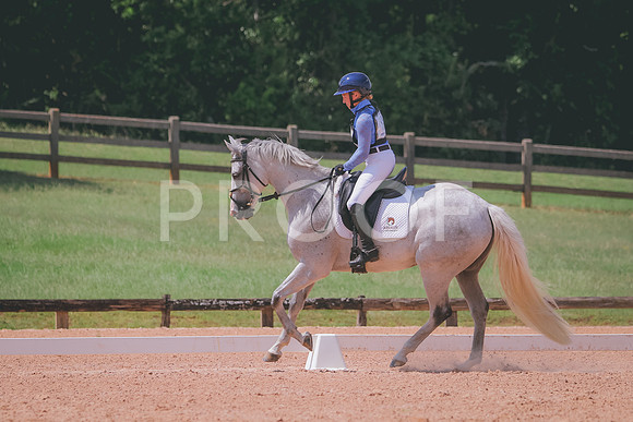 RWP_6795