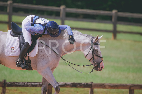 RWP_6819