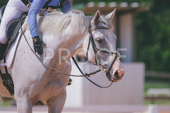 RWP_6836