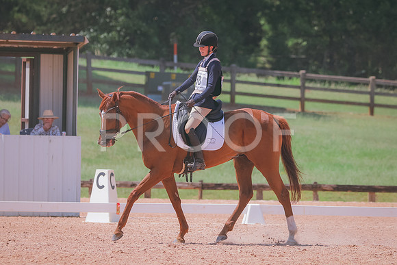 RWP_6935
