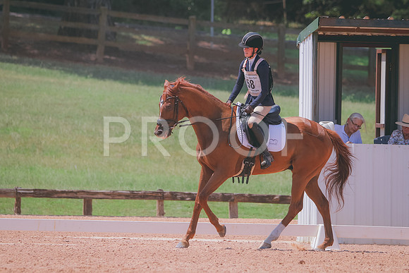 RWP_6943
