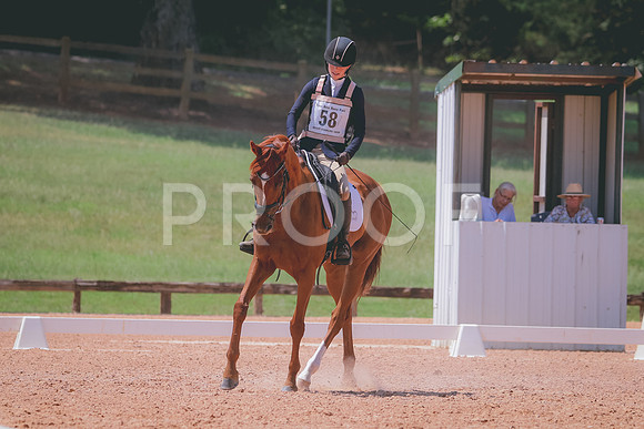 RWP_6937