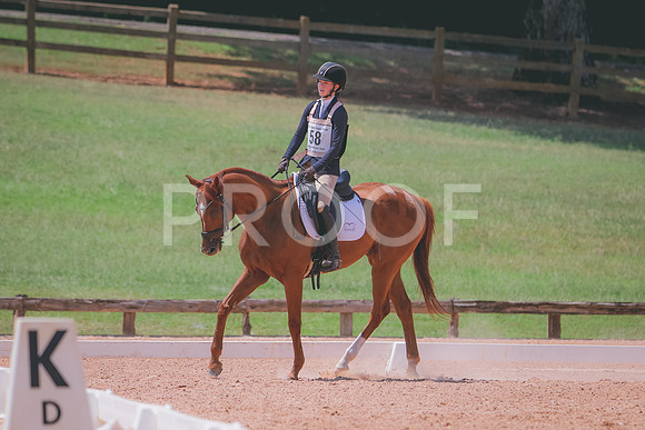 RWP_6954