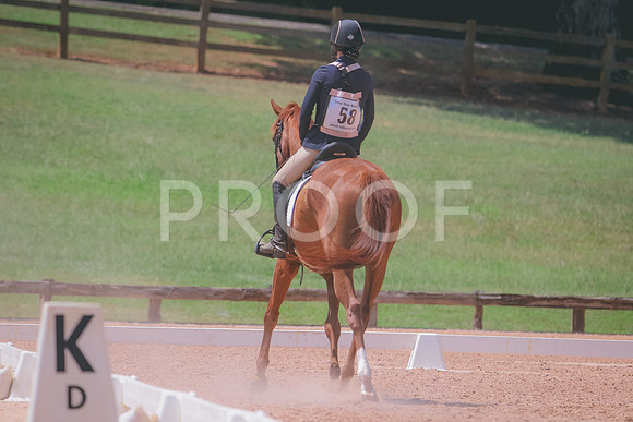 RWP_6967
