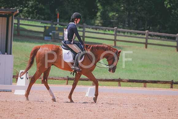 RWP_6977