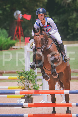RWP_7244