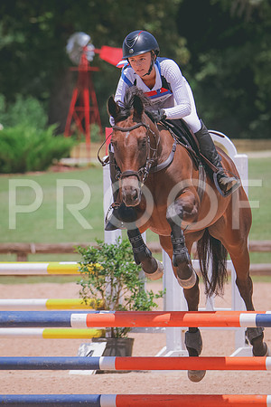 RWP_7246