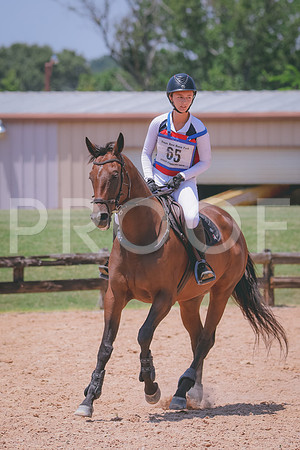 RWP_7262