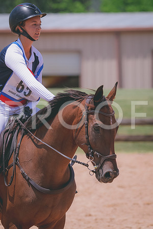 RWP_7264