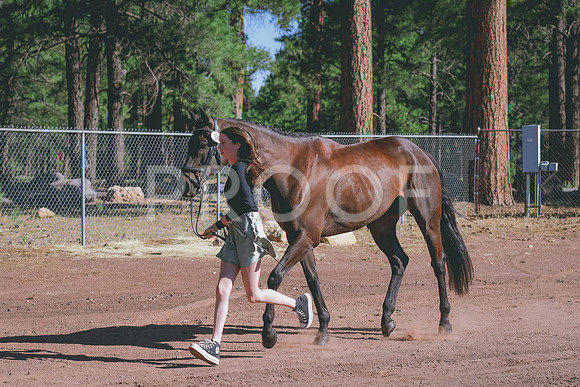 DSC_2489