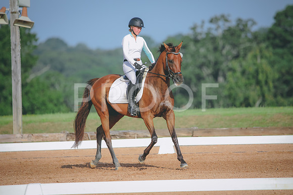 RWP_4480