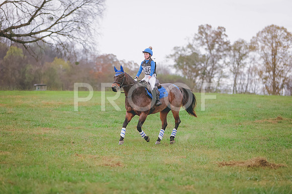 3T5A6254
