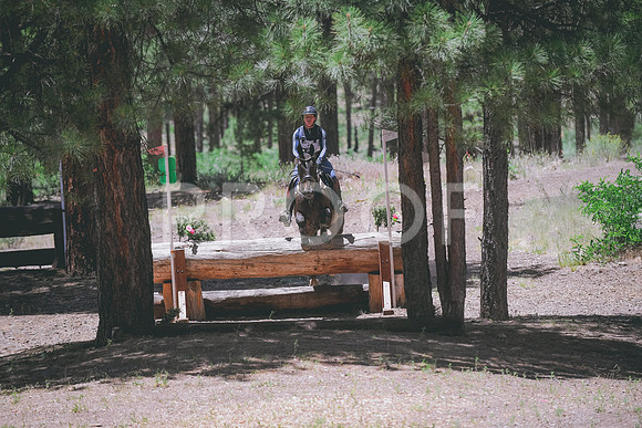 DSC_0517