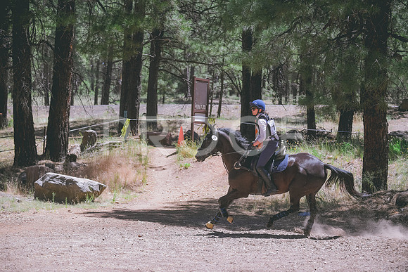 DSC_0344
