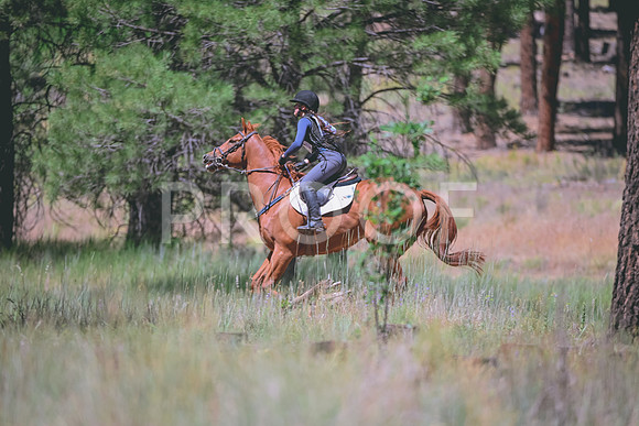DSC_5013