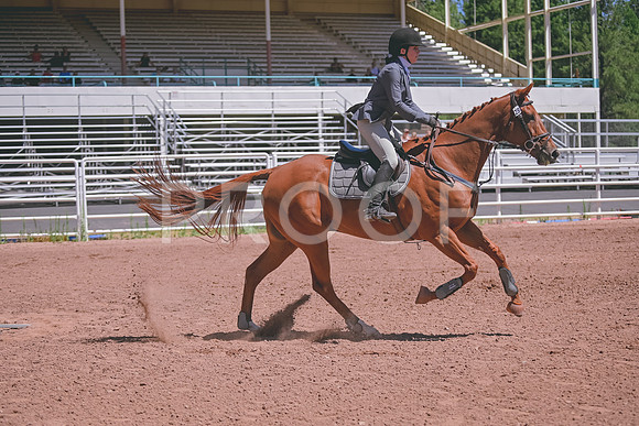 DSC_1358
