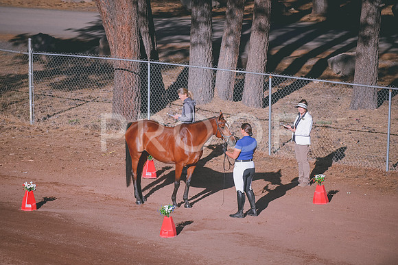 DSC_0661
