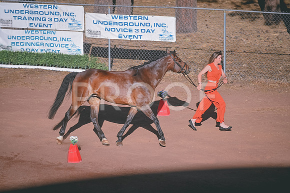 DSC_1976