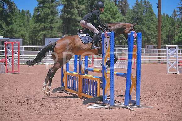 DSC_1639