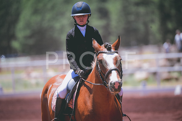 DSC_0227 copy