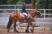 DSC_2835