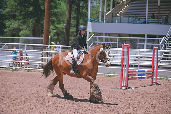 DSC_2959