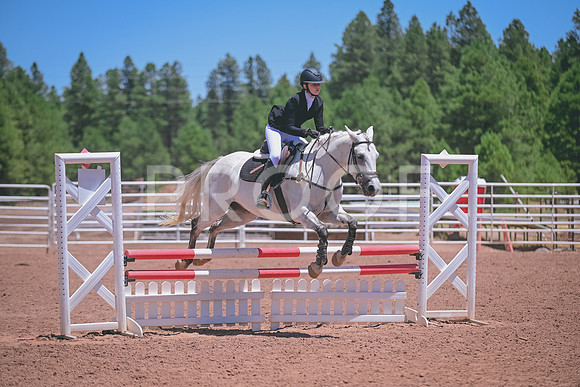 DSC_1197