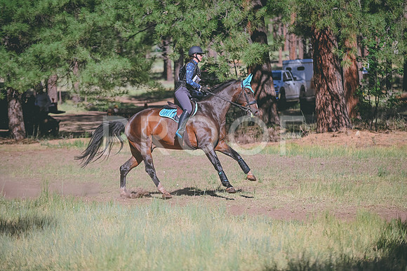 DSC_2176