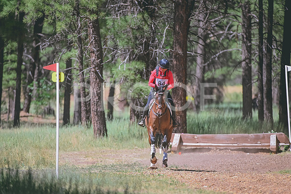 DSC_1058