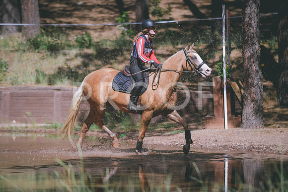 DSC_3290