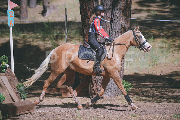 DSC_3306