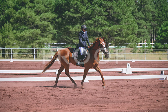 DSC_1060