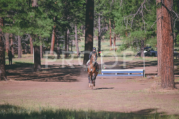 DSC_1287