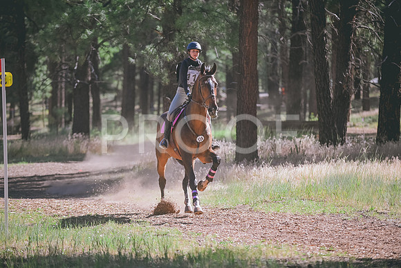 DSC_1930