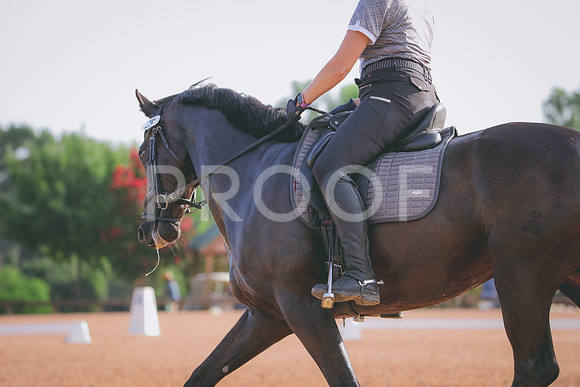 RWP_4258