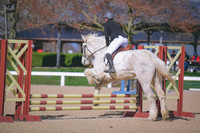 MEL_8179
