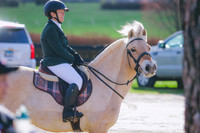 Debbie Hunt/Iduna Acres Ivar