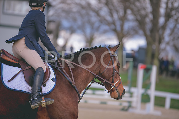 MEL_9141