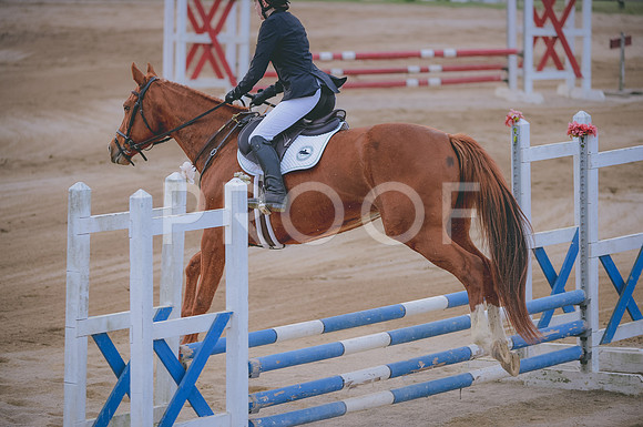 JJS_3174