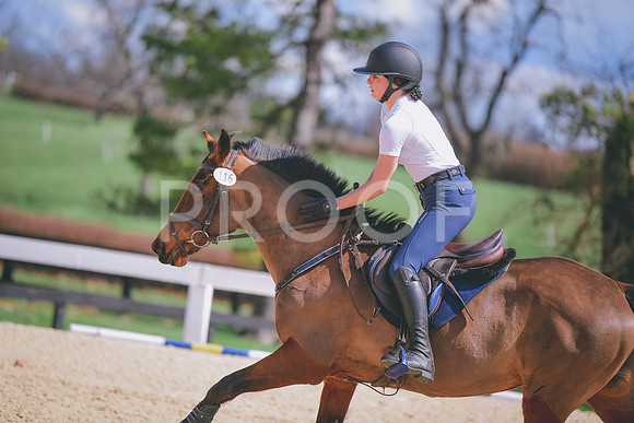 MEL_1696