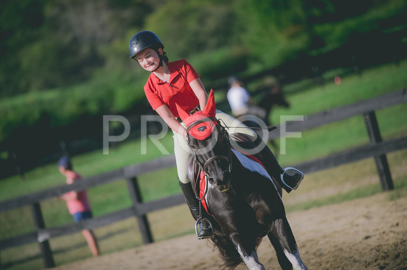 JJS_7833A