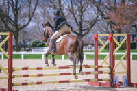 MEL_0863