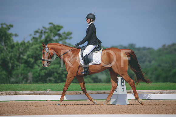 RWP_4071