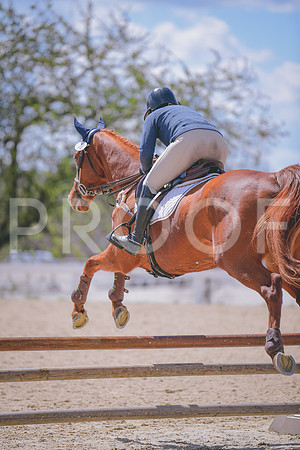 MEL_0339