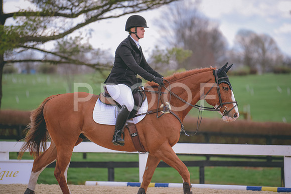 MEL_0661