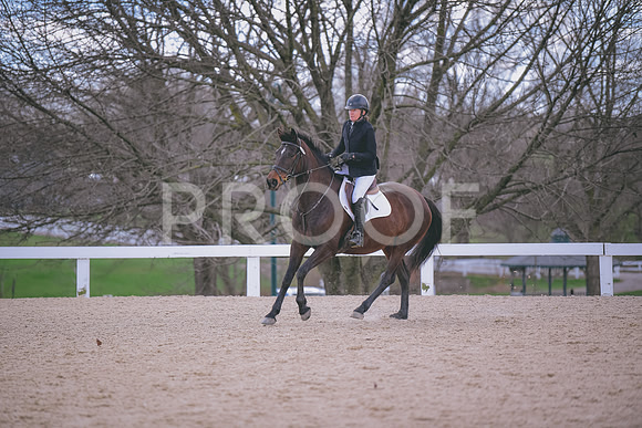 MEL_0504