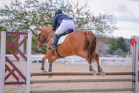MEL_0787
