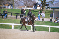 MEL_0304