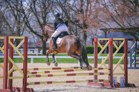 MEL_1181
