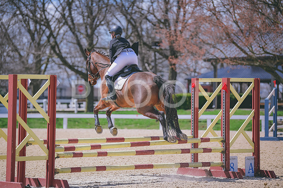 MEL_1181